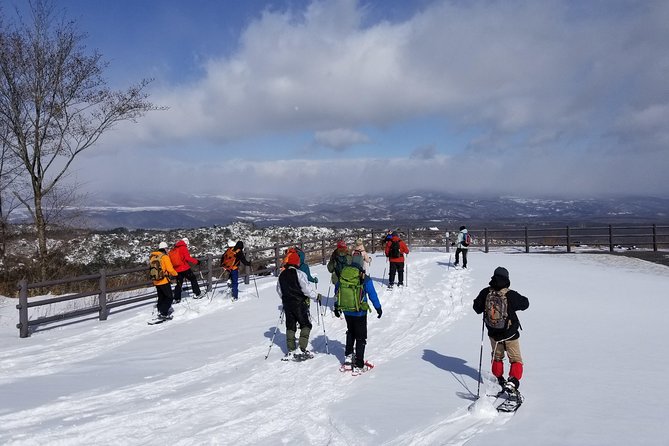 snowshoe-hike-at-the-base-of-mount-asama-karuizawa-snowshoe-tour-location-and-meeting-details