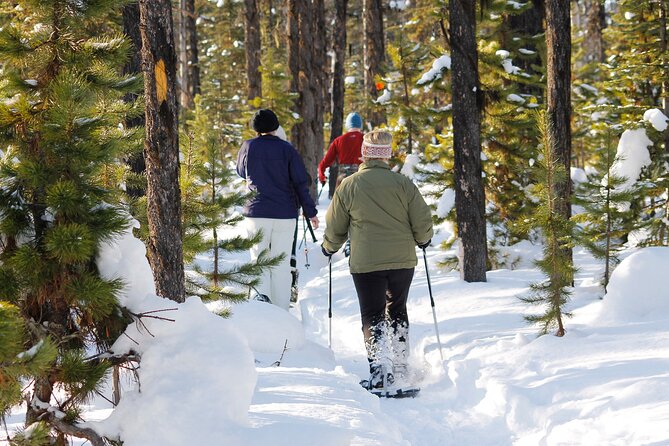 Snowshoeing In Vancouvers Winter Wonderland - Explore the North Shore Mountains