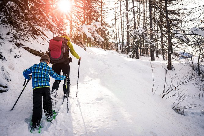 snowshoeing-tour-in-jacques-cartier-national-park-capture-stunning-winter-photographs