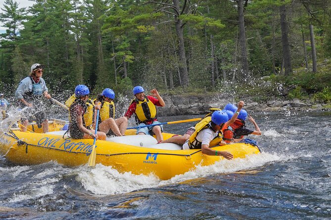 Soft Adventure Rafting on the Ottawa River - Overview of the Adventure