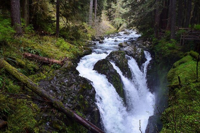 9 Best National Park Tours In Port Angeles | Power Traveller