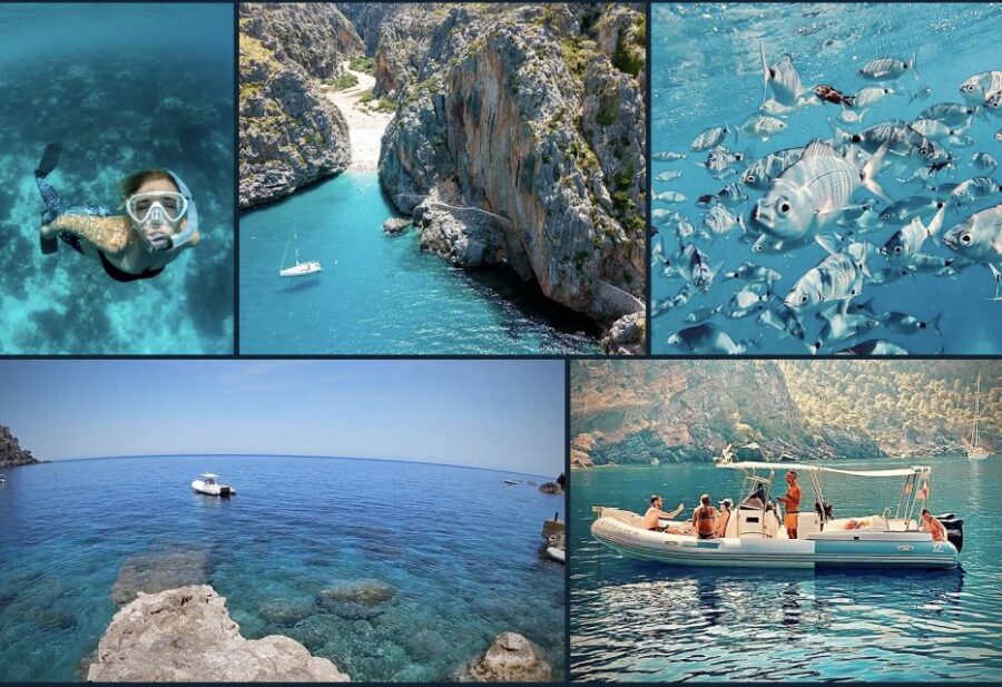 Soller: Private Boat Tour With Skipper