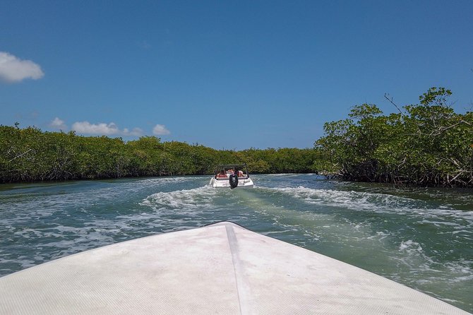 Speedboat and Snorkel Tour: Single Passenger Boat