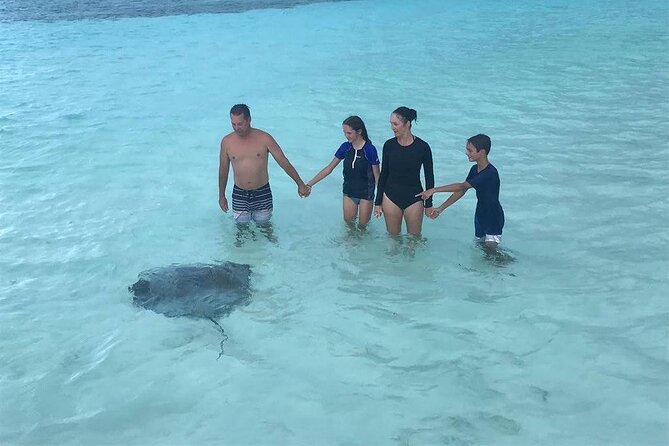 Starfish, Stingrays and the Turtle Bay Experience by Catamaran