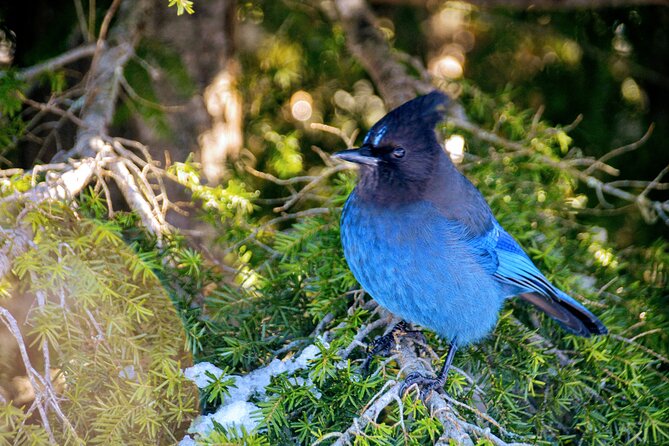 Stawamus Chief Hike & Photography - Overview of the Activity