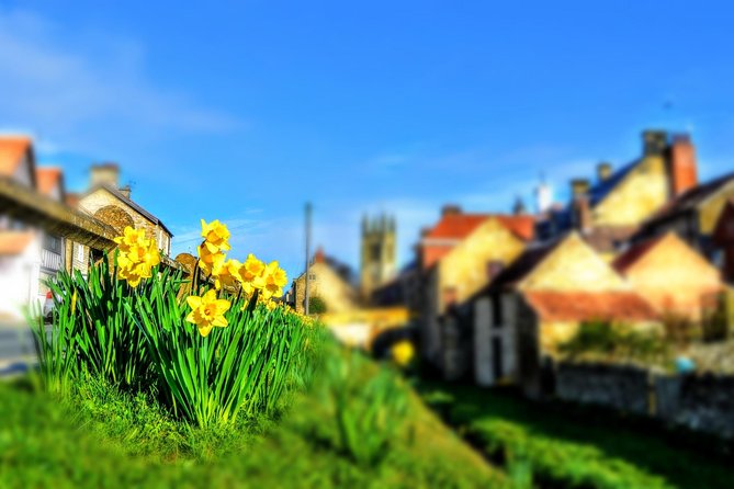 steam-trains-whitby-and-the-north-york-moors-full-day-tour-from-york-yorkshire-moors-for-first-time-visitors