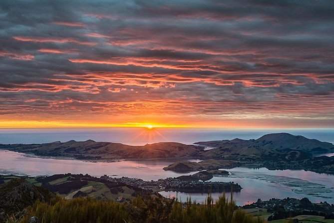 [Stevong Travel] Dunedin Private Tour 3D2N From Christchurch