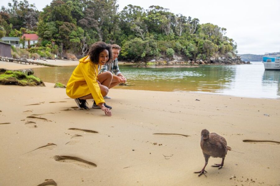 stewart-island-ulva-island-guided-wilderness-walk-cruise-activity-overview