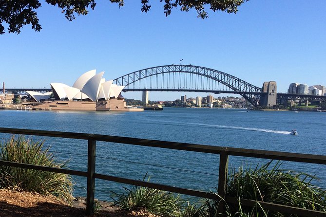 story-of-sydney-tour-highlights-and-activities