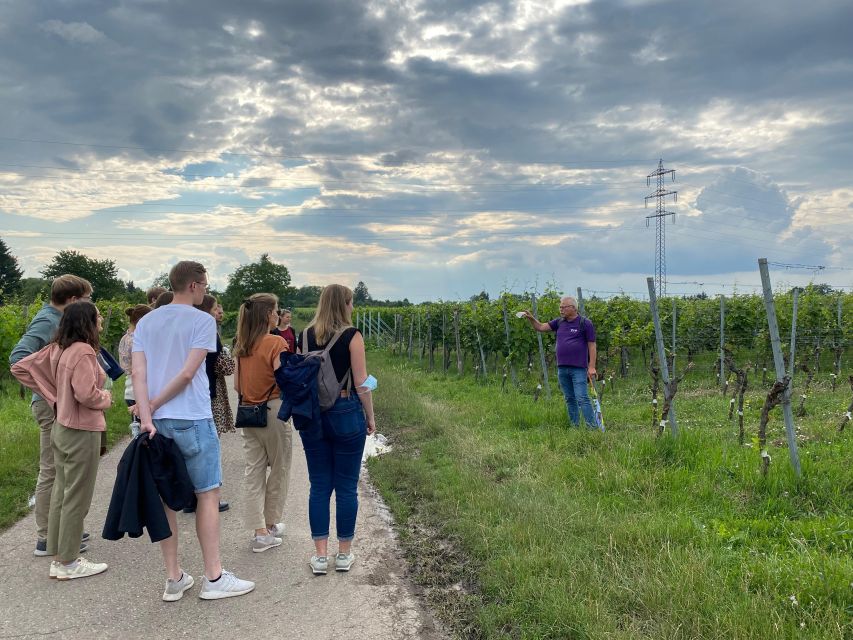 Stuttgart: Wine Tour With Wines of the Best Winemakers