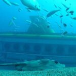 submarine-safaris-lanzarote-overview-of-submarine-safaris