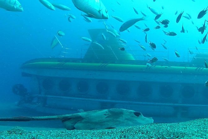 submarine-safaris-lanzarote-overview-of-submarine-safaris