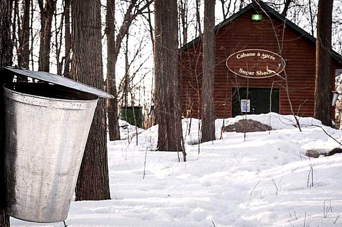 Sugar Shack (Feb to May) Maple Syrup Private Day Tour With Lunch From Montreal