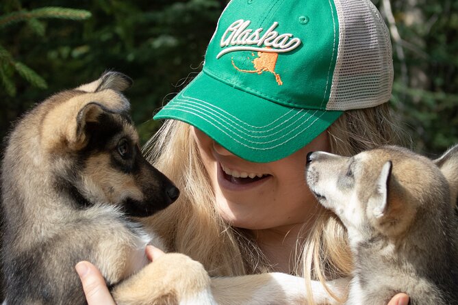 summer-mushing-cart-ride-kennel-tour-experience-overview
