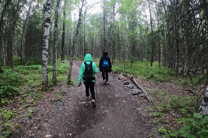 Summer Valley and Forest Hike - Trail and Hike Details