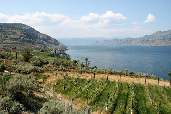 Summerland Private Wine Tour - Full Day