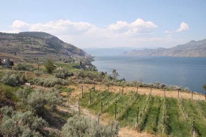 summerland-private-wine-tour-half-day-tour-overview