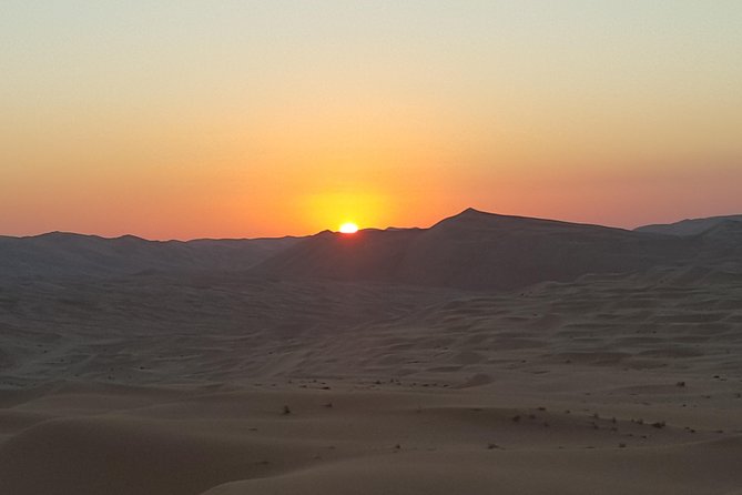 Sunrise Desert Safari Tour From Abu Dhabi - Highlights of the Tour