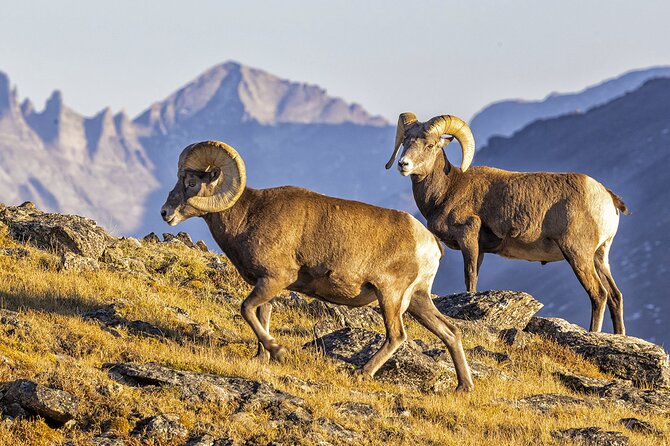 Sunset and Night Photography Tour on Trail Ridge Road - Tour Overview