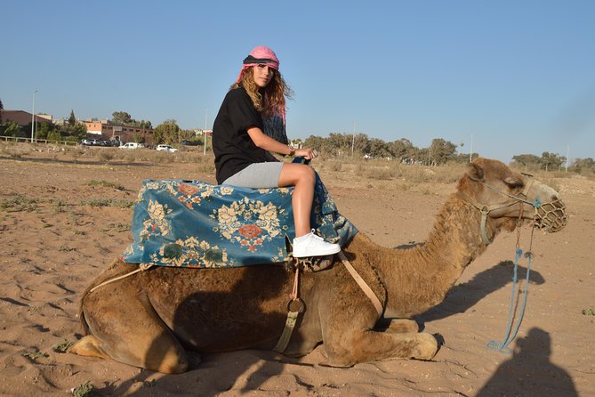 Sunset Camel Ride in Agadir With Transport, Tea and Cakes. - Overview of the Sunset Camel Ride