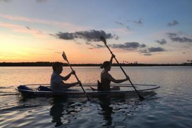 Sunset Clear Kayak or Clear Paddleboard in Orlando - Inclusions