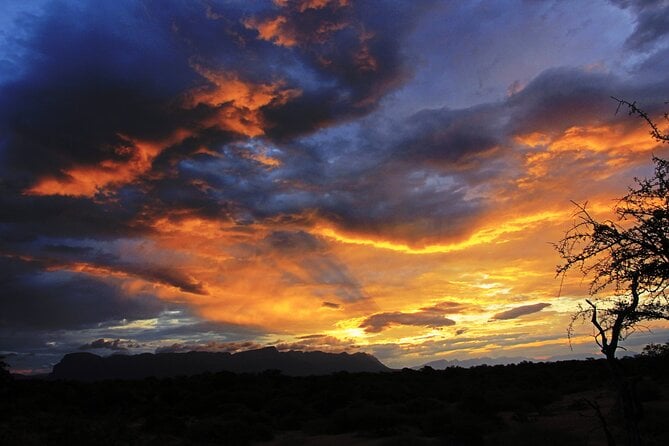 sunset-game-drive-safari-near-hoedspruit-safari-overview