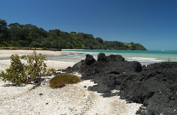 Sunset Kayak Tour to Rangitoto Island - Tour Overview