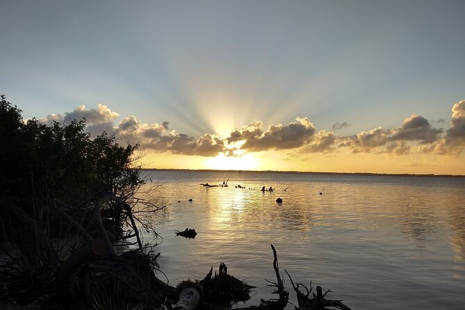 Sunset Kayaking Tour at Manatee Cove With Manatee & Dolphin Sightings