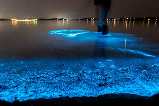 Sunset Kayaking W/ Florida Bioluminescence Combo Tour | Haulover Canal