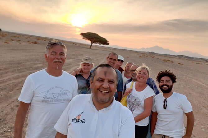 Sunset Oasis Desert Experience in El Gouna and Hurghada - Highlights of the Experience