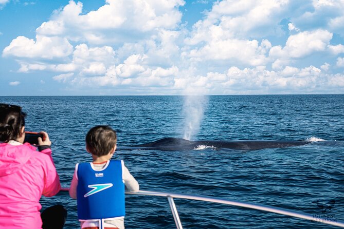 supreme-2hr-whale-dolphin-watching-newport-beach-6-person-max-activity-details