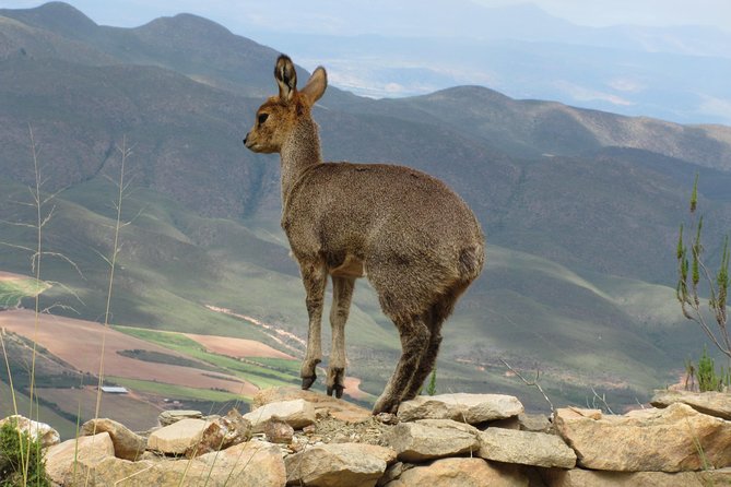 swartberg-mountain-circular-all-inclusive-private-day-tour-tour-overview