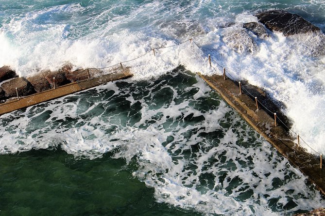 Sydney Harbour, Manly and Palm Beach, National Park Private Tour