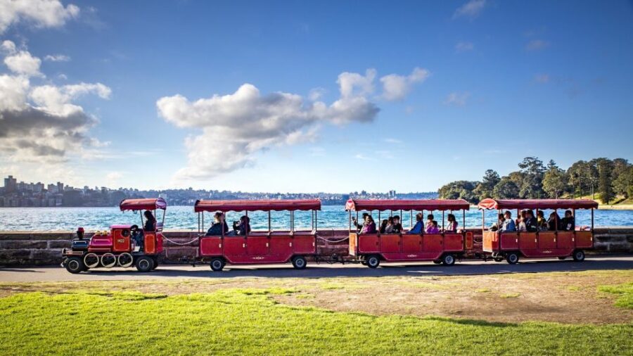 Sydney: Royal Botanic Gardens Smartphone Scavenger Hunt - Overview and Pricing
