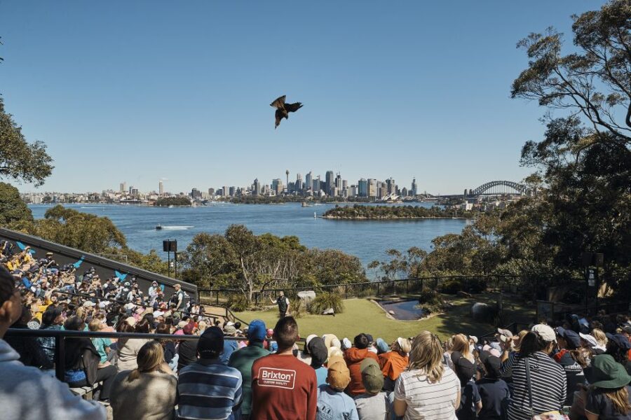 sydney-taronga-zoo-24-or-48hr-sydney-harbour-hopper-pass-ticket-options-and-pricing