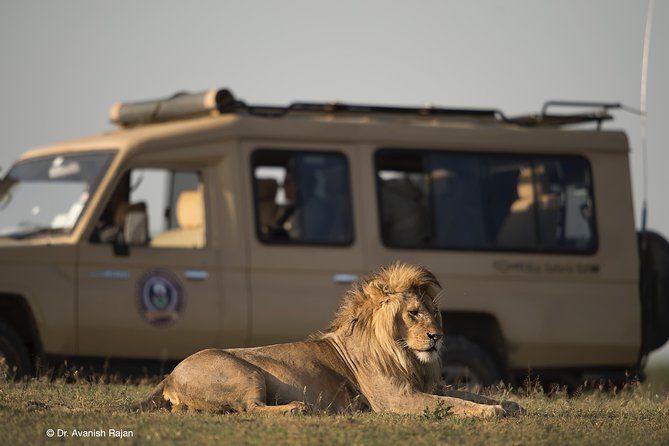 Take Me to Tarangire and Ngorongoro -3 Days - Overview of the Safari Adventure