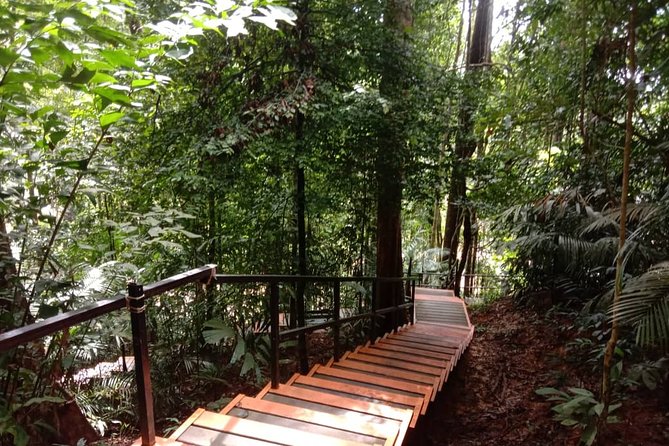 Taman Negara National Park DAY Tour (SIC - Join In Tour)