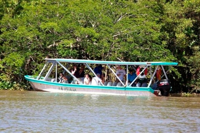 Tamarindo Estuary Boat Safari