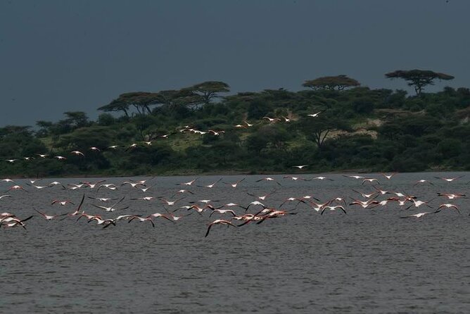 Tanzania Luxury Safari - Destination Overview