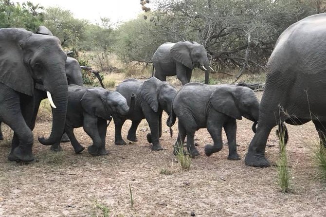 tanzania-safari-the-great-migration-in-the-north-of-the-serengeti-and-lake-natron-tour-overview