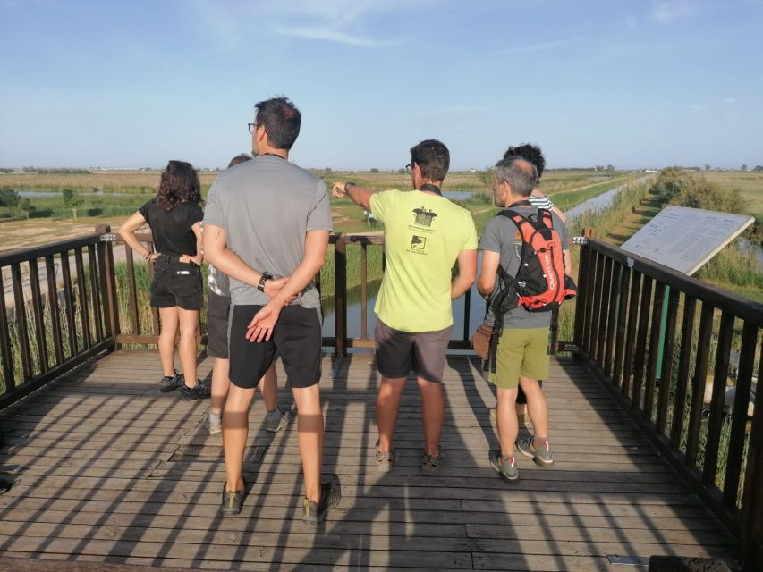tarragona-southern-delta-birdwatching-private-tour-tour-highlights