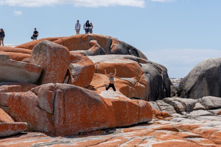 tasmania-west-to-east-and-more-in-7-super-days-tour-duration-and-cost