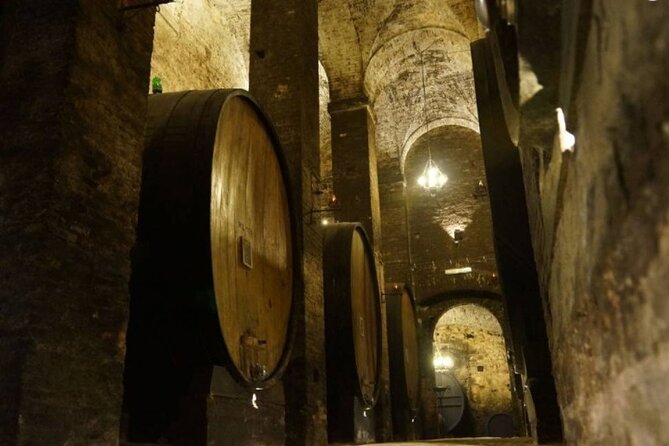 Tasting Tour in One of The Most Beautiful Cellars in the World - Overview and Background