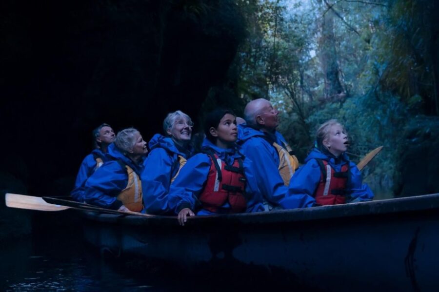 Tauranga: Evening Big Kanu Glowworm Tour
