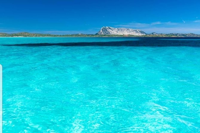 Tavolara Boat Tour and Snorkeling - Explore the Island