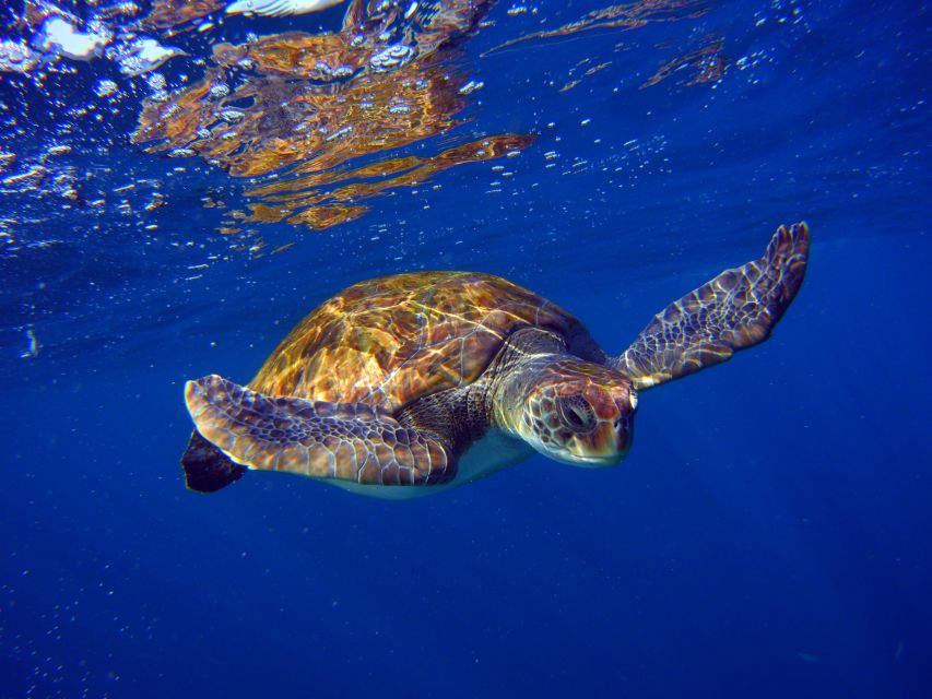 Tenerife: 3-Day Open Water Scuba Diver Course - Theoretical Lessons