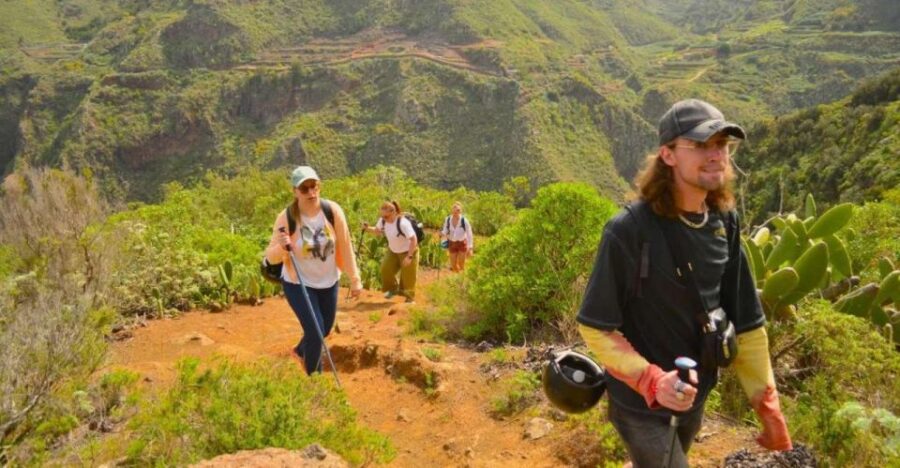 Tenerife: Anaga Mountains and Laurel Forest Hiking Tour - Product Overview