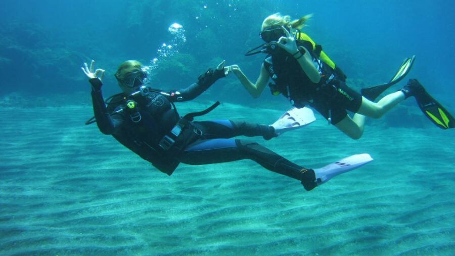 Tenerife: Beginners Scuba Diving Experience - Diving Overview