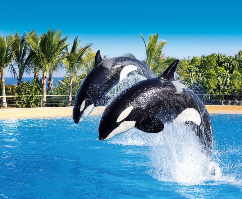 Tenerife: Loro Parque & Siam Park Combined Tickets - Ticket Details