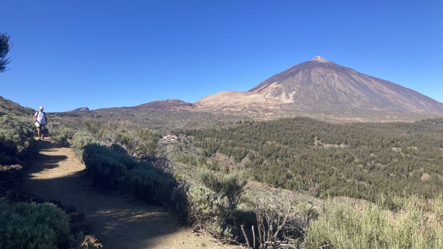 Tenerife: Private Guided Mindful Hike Teide With Transport - Overview of the Experience